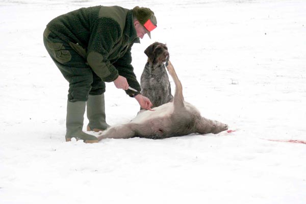 Killikus&reg; Fotographie